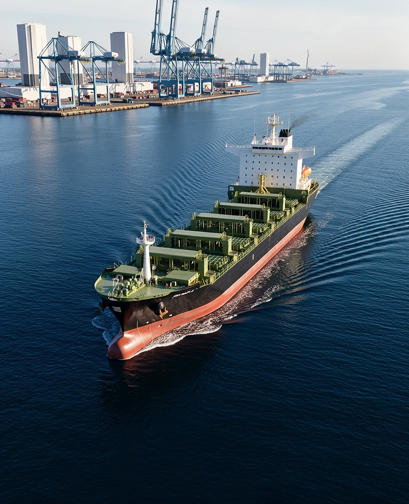 Maritime shipping intelligence visual